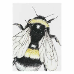 Toasted Crumpet ‘Spring To Summer’ Notecards Mixed Set Of 8 -gifts sale bx01 toasted crumpet spring to summer notecards mixed set of 8 3