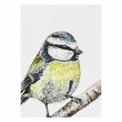 Toasted Crumpet ‘Spring To Summer’ Notecards Mixed Set Of 8 -gifts sale bx01 toasted crumpet spring to summer notecards mixed set of 8 4