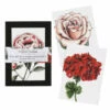 Toasted Crumpet ‘Blooming Marvellous’ Notecards Mixed Set Of 8 -gifts sale bx10 toasted crumpet blooming marvellous notecards mixed set of 8 10