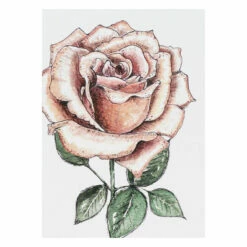 Toasted Crumpet ‘Blooming Marvellous’ Notecards Mixed Set Of 8 -gifts sale bx10 toasted crumpet blooming marvellous notecards mixed set of 8 3