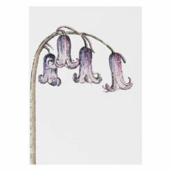 Toasted Crumpet ‘Blooming Marvellous’ Notecards Mixed Set Of 8 -gifts sale bx10 toasted crumpet blooming marvellous notecards mixed set of 8 8