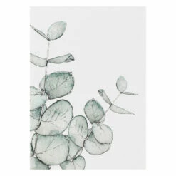 Toasted Crumpet ‘Blooming Marvellous’ Notecards Mixed Set Of 8 -gifts sale bx10 toasted crumpet blooming marvellous notecards mixed set of 8 9