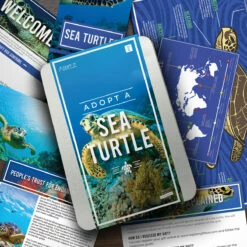Gift Republic Adopt A Sea Turtle