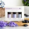 Aroma Home Favourites Set Of Three Essential Oils 1 Aroma Home Favourites Set Of Three Essential Oils -gifts sale upper canada ah00028fa favourites essential oils lifestyle